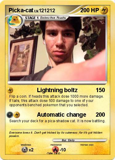 Pokemon Picka-cat