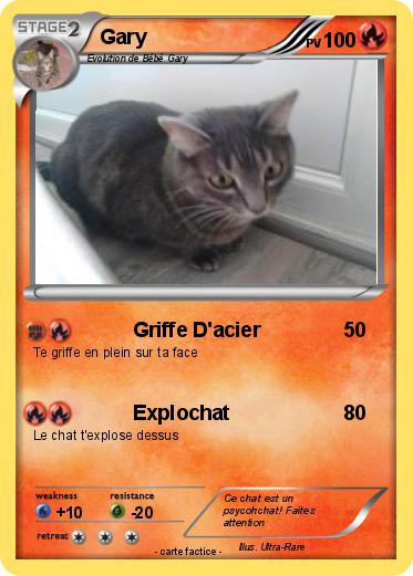 Pokemon Gary