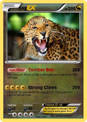 Pokemon Jag