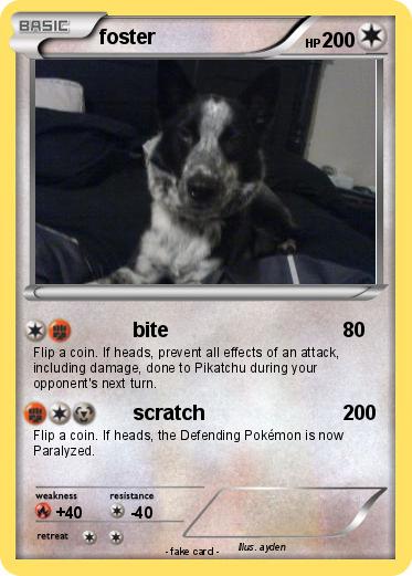 Pokemon foster