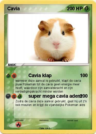 Pokemon Cavia