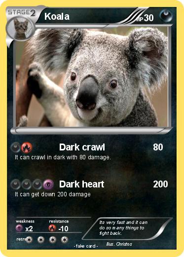 Pokemon Koala