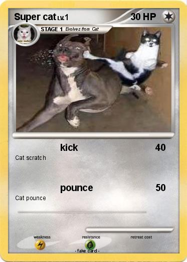 Pokemon Super cat