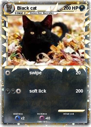Pokemon Black cat