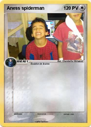 Pokemon Aness spiderman