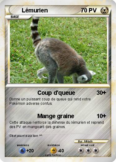 Pokemon Lémurien