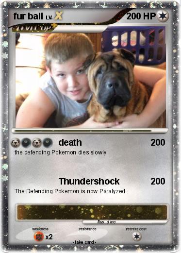 Pokemon fur ball