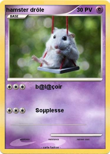 Pokemon hamster drôle