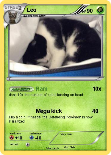 Pokemon Leo