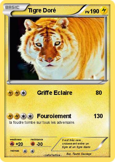 Pokemon Tigre Doré