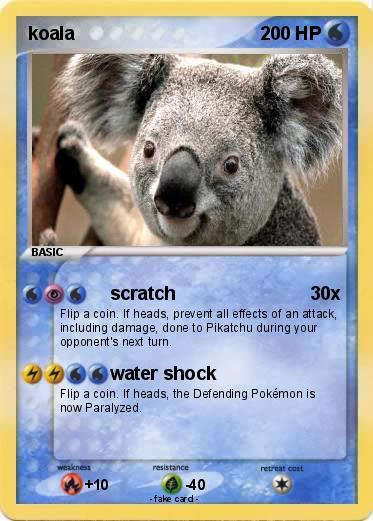 Pokemon koala