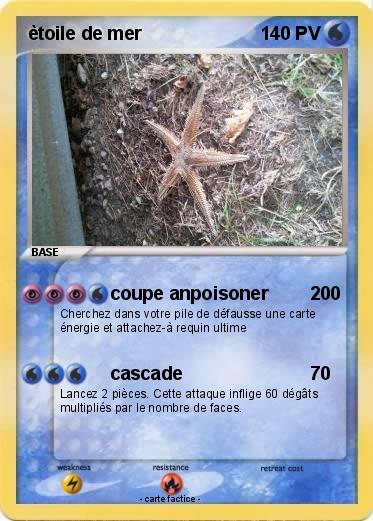 Pokemon ètoile de mer