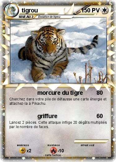 Pokemon tigrou