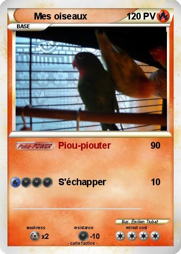 Pokemon Mes oiseaux