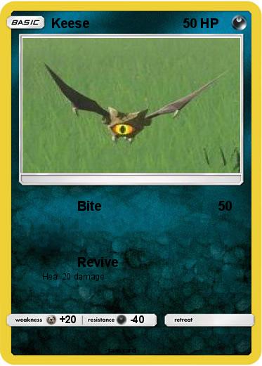 Pokemon Keese