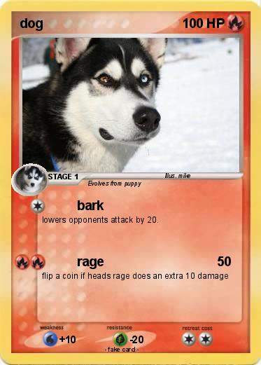 Pokemon dog