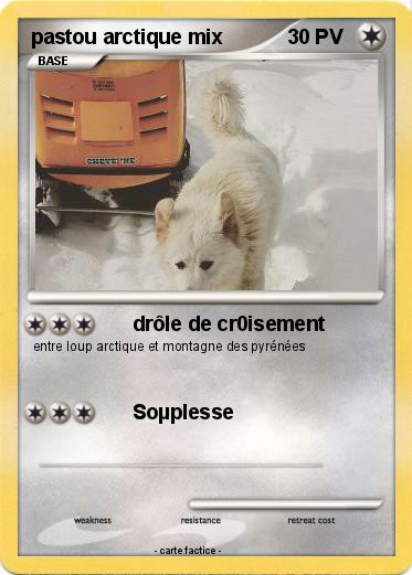 Pokemon pastou arctique mix
