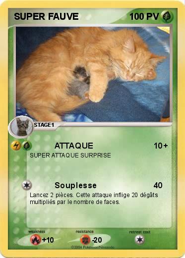 Pokemon SUPER FAUVE
