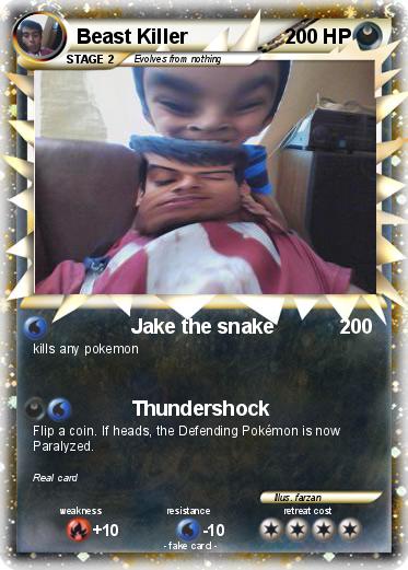 Pokemon Beast Killer