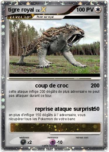 Pokemon tigre royal