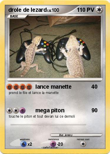 Pokemon drole de lezard