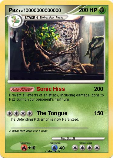 Pokemon Paz