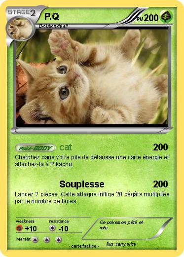 Pokemon P.Q