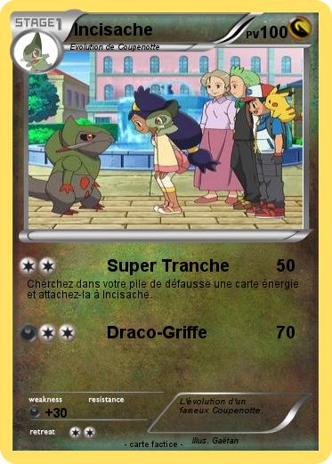 Pokemon Incisache