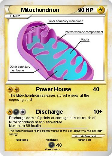 Pokemon Mitochondrion