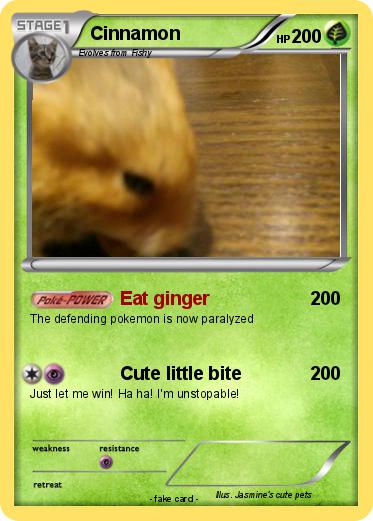 Pokemon Cinnamon
