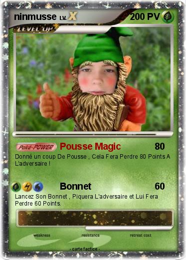 Pokemon ninmusse