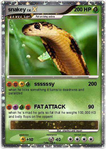 Pokemon snakey