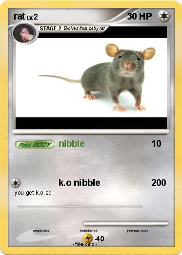 Pokemon rat