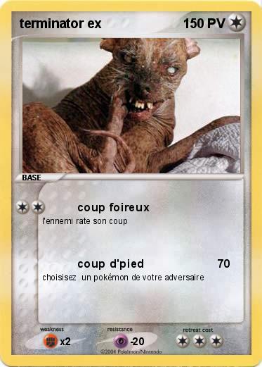 Pokemon terminator ex