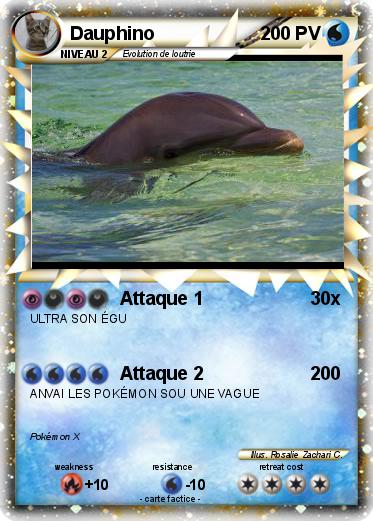 Pokemon Dauphino