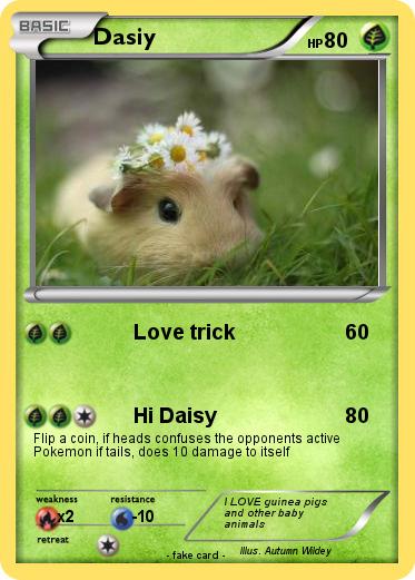 Pokemon Dasiy