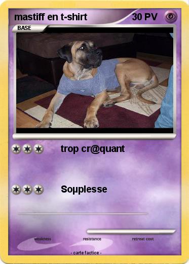 Pokemon mastiff en t-shirt