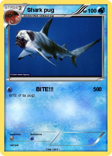 Pokemon Shark pug                               7