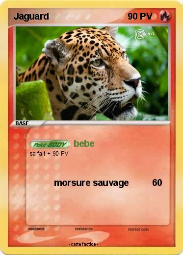Pokemon Jaguard