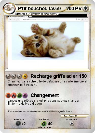 Pokemon P'tit bouchou LV.69