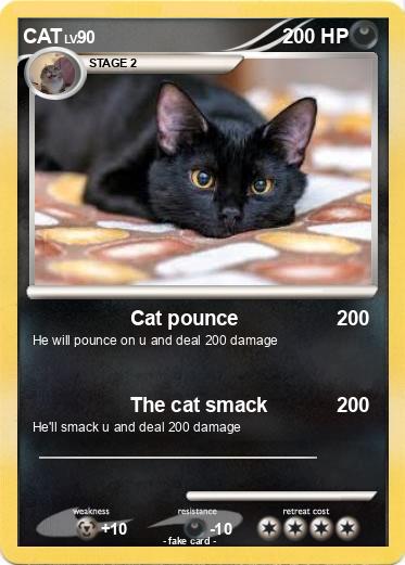Pokemon CAT