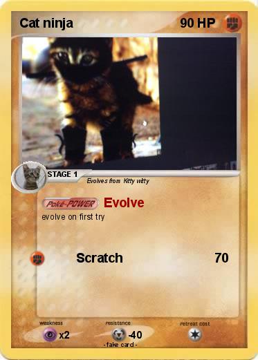 Pokemon Cat ninja
