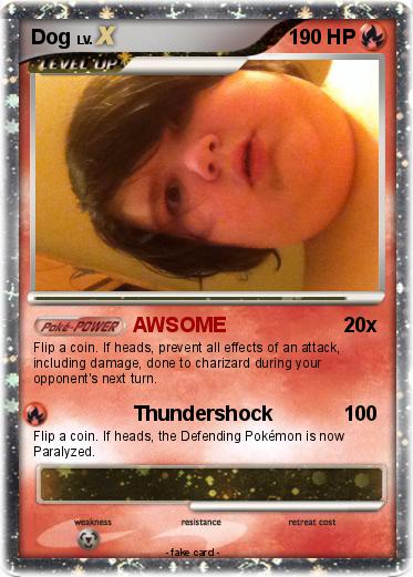 Pokemon Dog