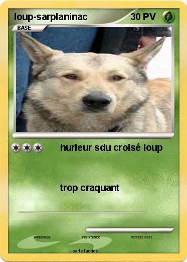 Pokemon loup-sarplaninac