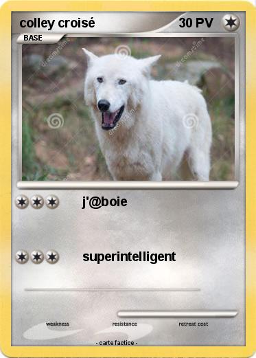 Pokemon colley croisé