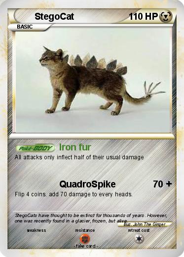 Pokemon StegoCat