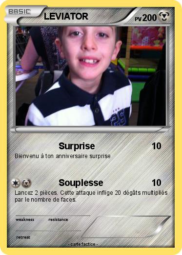 Pokemon LEVIATOR