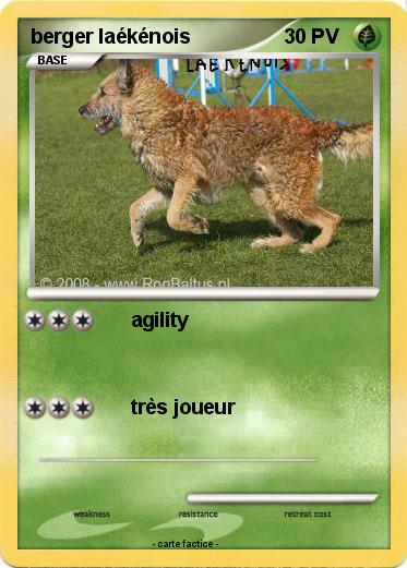 Pokemon berger laékénois