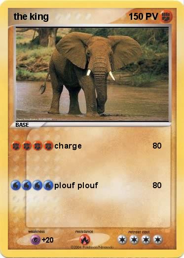 Pokemon the king 