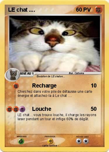 Pokemon LE chat ....